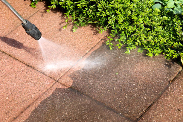 Best House Pressure Washing  in Crestwood Village, NJ
